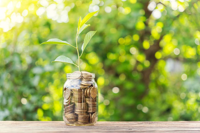 Glass jar full of coins with a plant growing out of the top